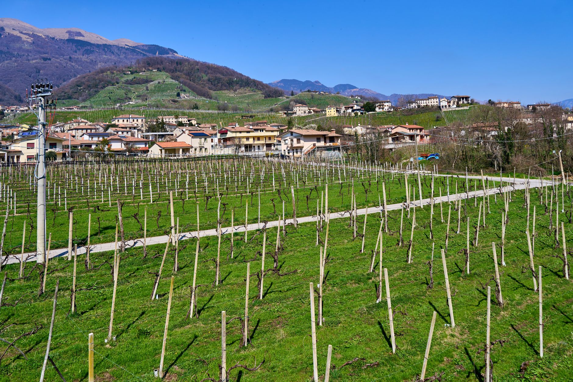 The Ultimate Prosecco Hills Road Trip Guide