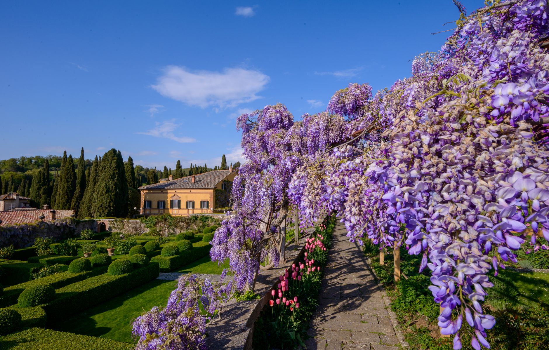 Spring in Italy: Flower Festivals, Easter Traditions & the Magic of Shoulder Season