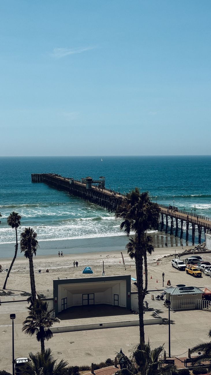 sunny beach view with palm trees and pier