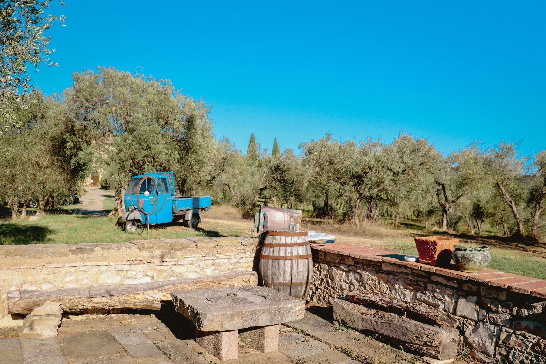 rustic tuscan olive grove with blue three wheeler